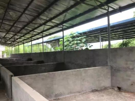 豪豬養殖場,豪豬養殖場關停補償
