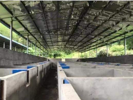 豪豬養殖場,豪豬養殖場關停補償