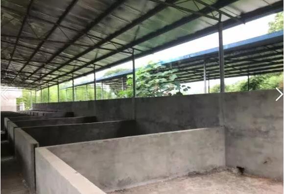 豪豬養殖場,豪豬養殖場關停補償