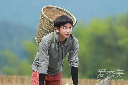 向往的生活抓蝴蝶游戏怎么玩 向往的生活抓蝴蝶游戏规则及玩法