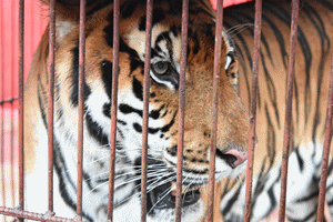 头条 | 解锁暑假带娃打卡新地标！柳州卡乐星球带你嗨翻这个夏天