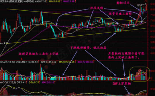 价托形态最强K线图图片