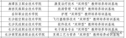 点赞！教育部点名，湖南10所学校获评优质专科高等职业院校