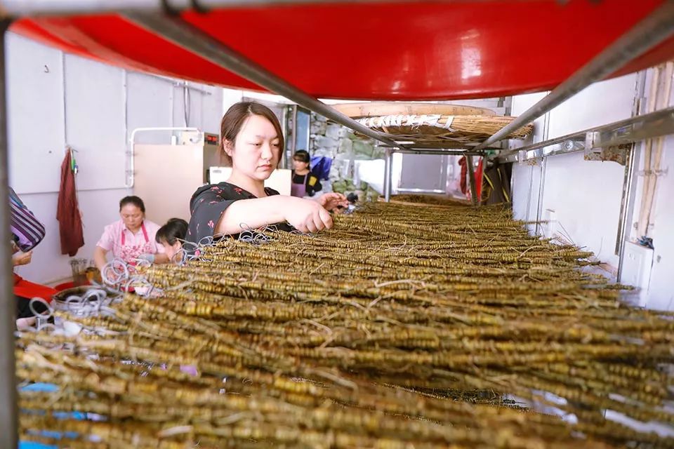 它是“天然青霉素”，每天一杯，慢慢地体验大自然的神奇