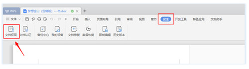 怎么取消wps的加密(加密文档打不开了怎么办？WPS教你如何正确避免)