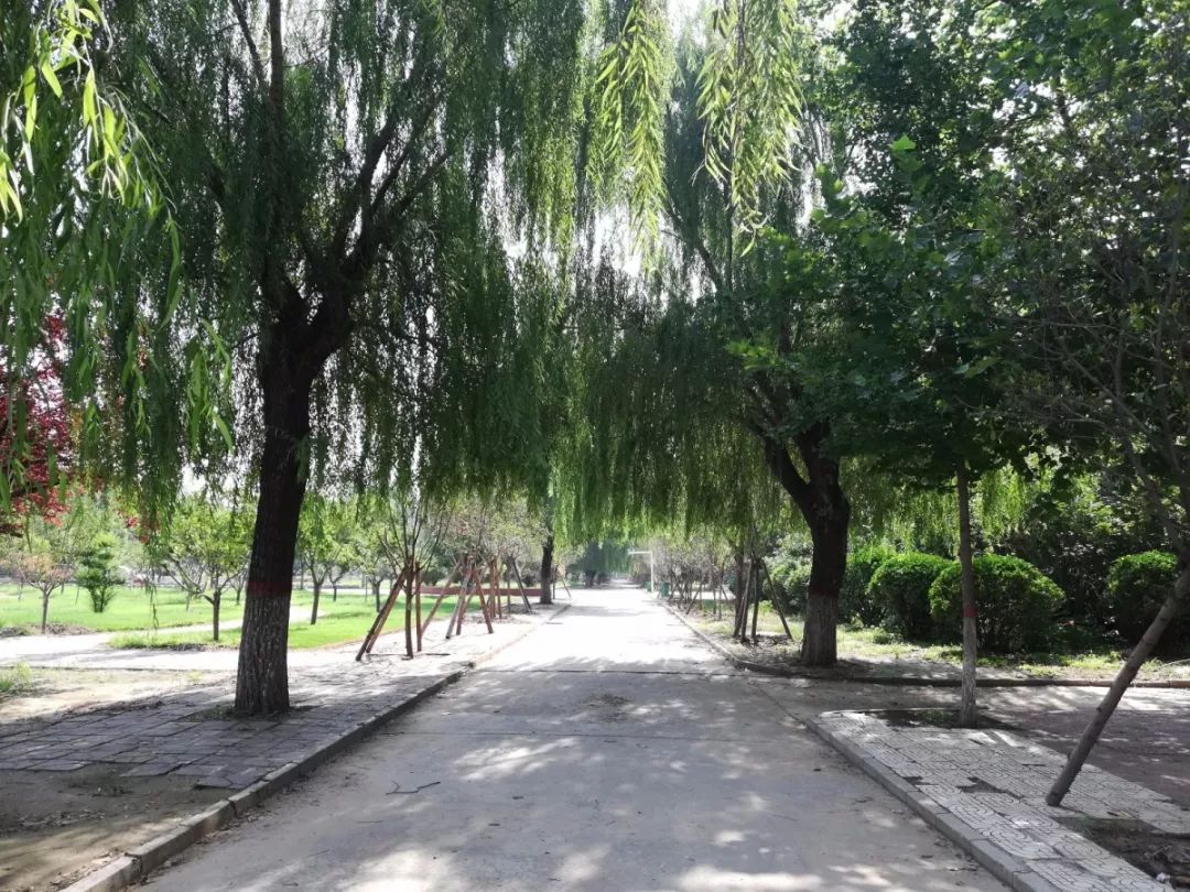 濮阳这所学校将变成石油学院，是你的母校么？