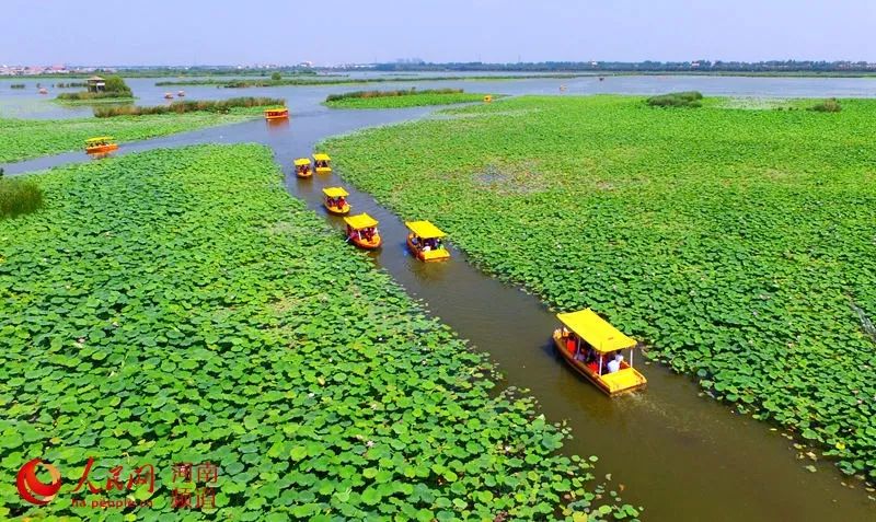 周口市淮阳区12月31日正式揭牌成立