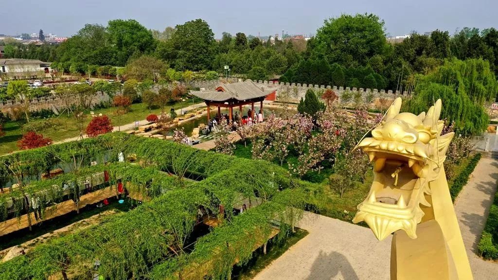 周口市淮阳区12月31日正式揭牌成立