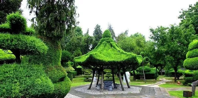 悄然奏响73如果我在春天的淮阳遇到你我会带你到太昊陵赴