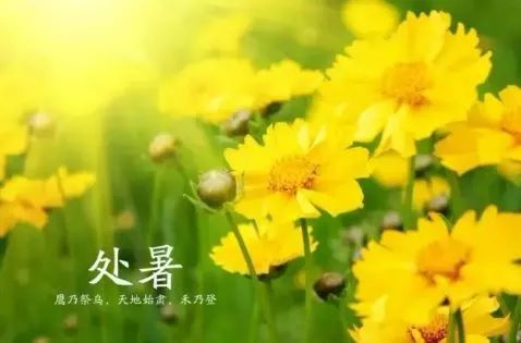 处暑节气的含义是什么