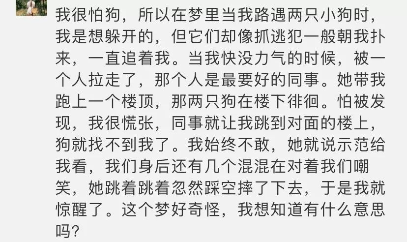 「解梦」梦见被狗追着跑?梦里的恐惧其实是性格弱点的反射