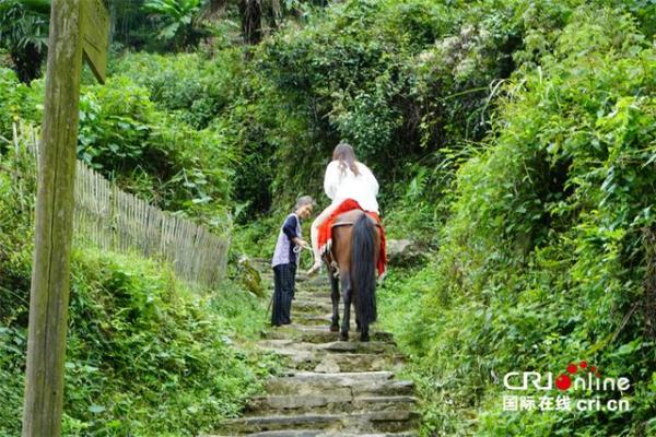 茶马古道的起点和终点（江南镇的几个必去的风景区）