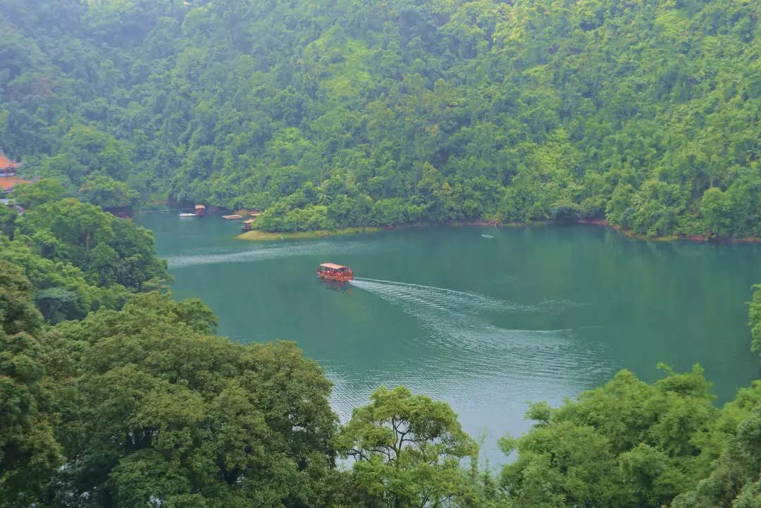 一念起，美如画，尽在鼎湖山