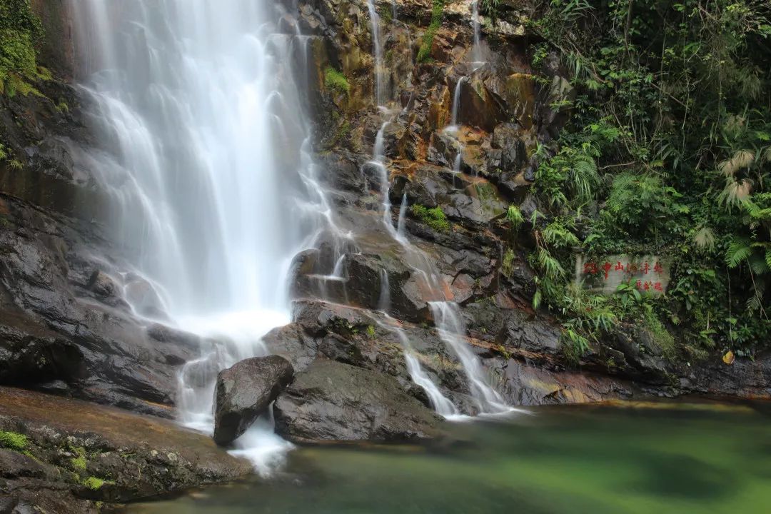 一念起，美如画，尽在鼎湖山