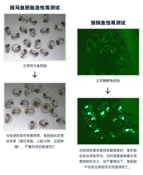 不想吃毒口红就转给男友吧，这8款口红安全又好用