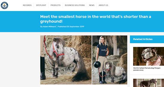 世界上最小的马（波兰发现世界上最小的马）