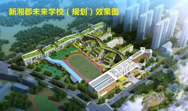 这种房子火了！为了孩子，家长们都看看