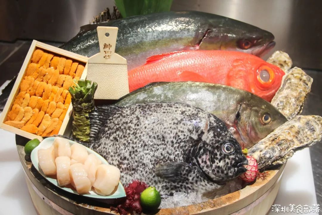 池鱼王多少钱一斤(吃海胆)