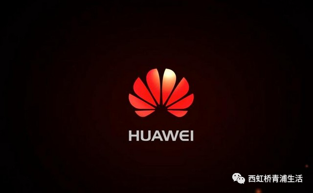 总价366万起，大虹桥+长三角一体化，这个项目脱颖而出