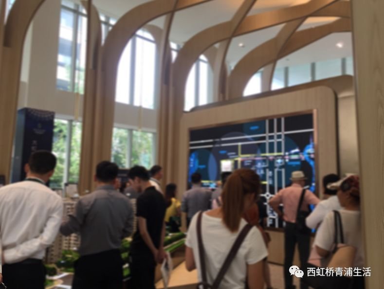 总价366万起，大虹桥+长三角一体化，这个项目脱颖而出