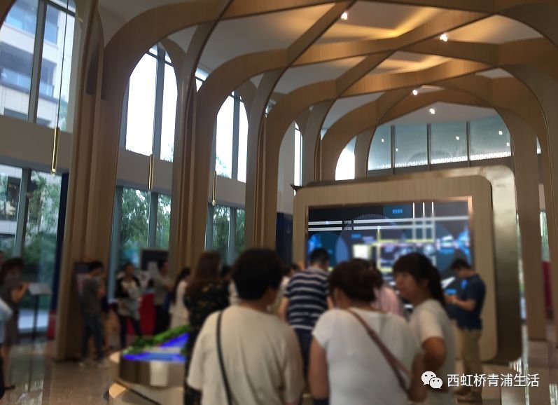 总价366万起，大虹桥+长三角一体化，这个项目脱颖而出