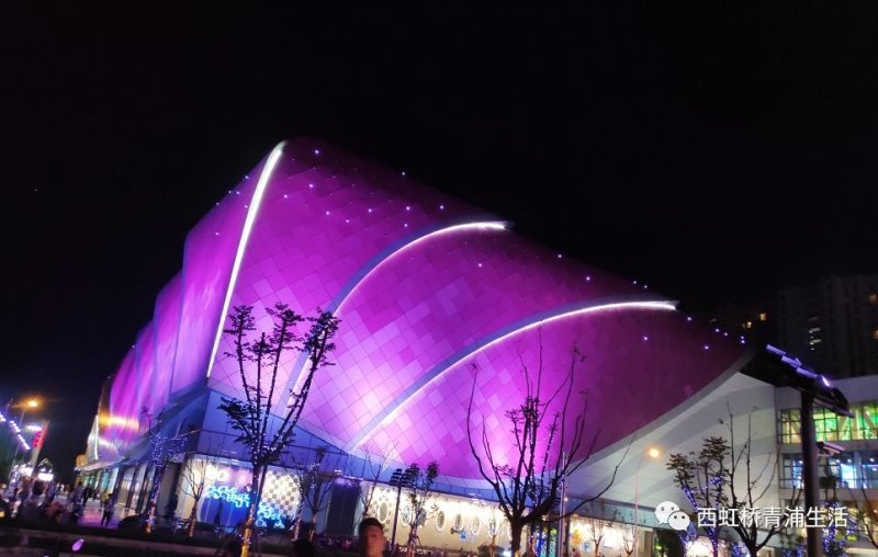 总价366万起，大虹桥+长三角一体化，这个项目脱颖而出