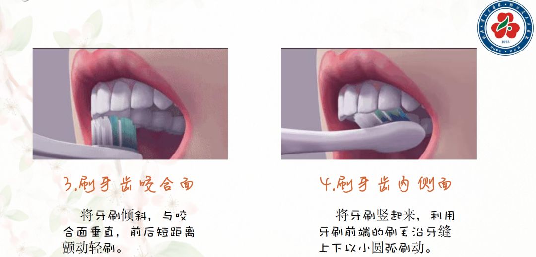 掌握了"九字真经"，就不用担心蛀牙啦！口腔专家彭友俭力荐