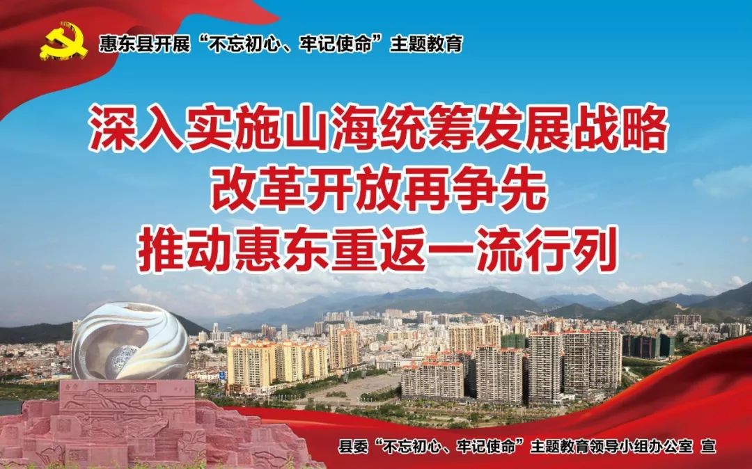 惠东县公开招聘村（社区）党组织书记储备人选公告