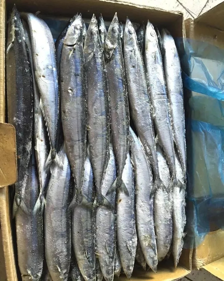 橡皮鱼是什么鱼(海鲜市场纯天然的7种鱼)