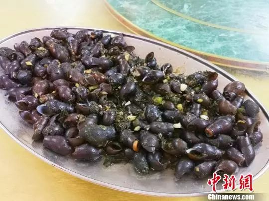 鲜、爽、香！台山人用山坑螺烹出好滋味