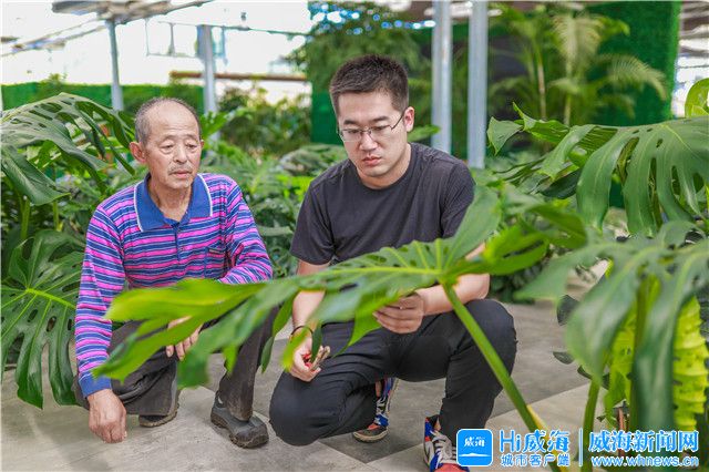 “假日小镇”走起！看文登这个镇这样发展休闲农业