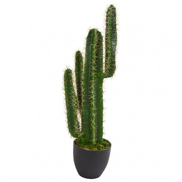 吃货指南？《植物大战僵尸》新作植物好吃程度排名