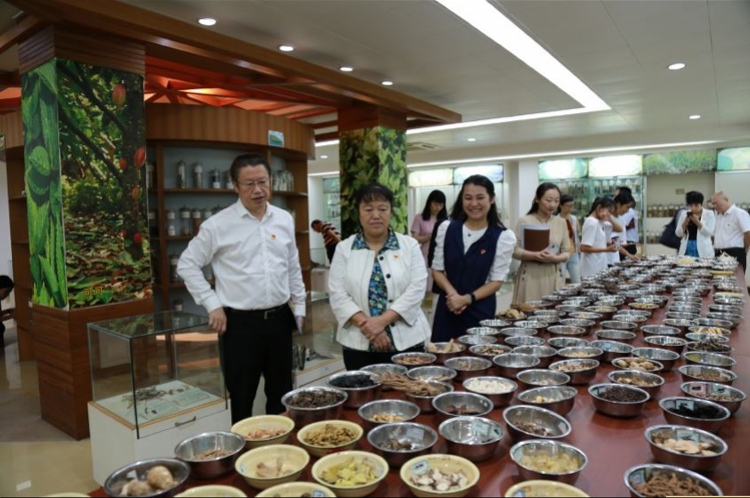 广东食品药品职业学院深调研抓落实，推进一流校和创”双高“建设