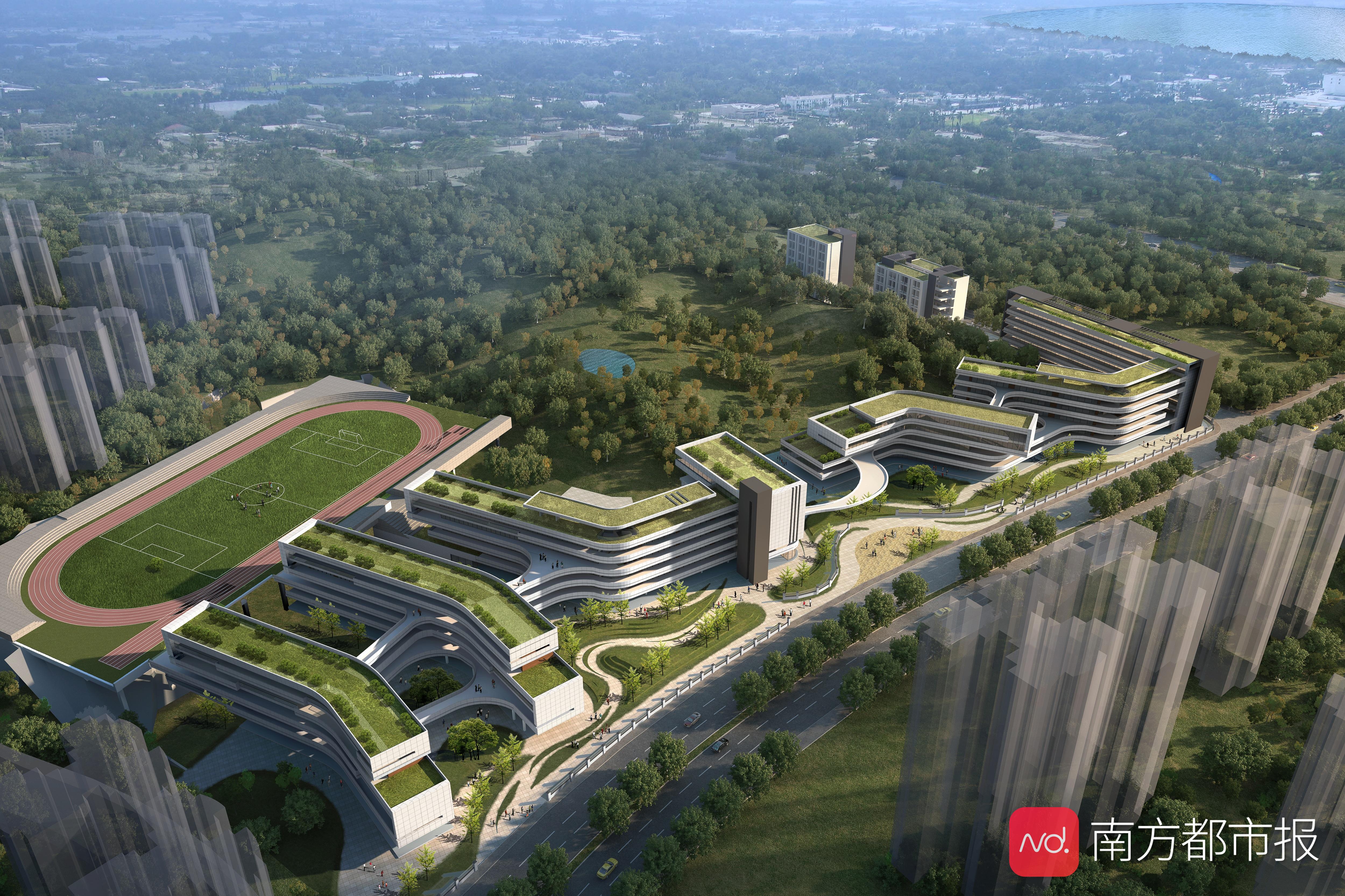 华附、执信、二中、广大附……走！去南沙读名校