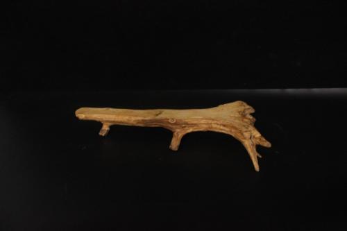 12星座的幸运物，看看是什么？万一有用呢