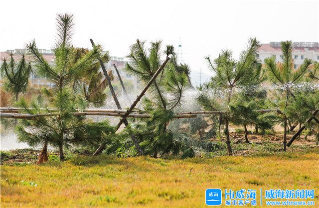 羊亭这处7万平“口袋公园”成区域新地标