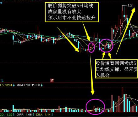 为什么不断有大单买入，股价却下跌？牢记“尾盘5分钟选股法”，看懂游资进出龙头股套路，找准所有次日涨停