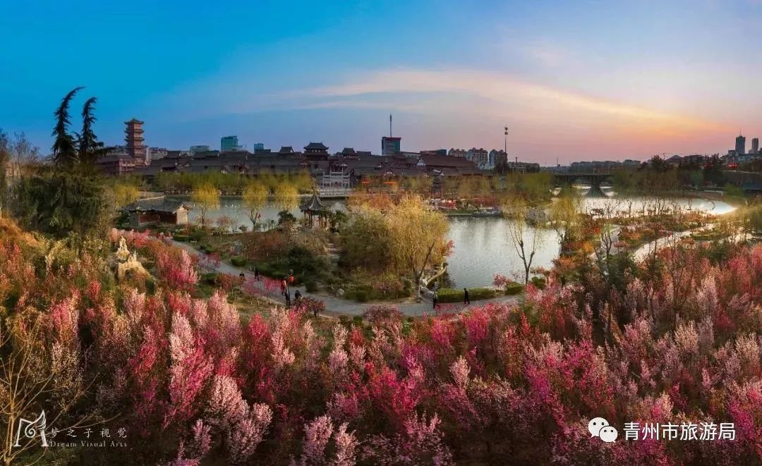 “东风洒雨露，繁花漫古城”究竟是怎样的一种美？来青州吧，答案就在这里