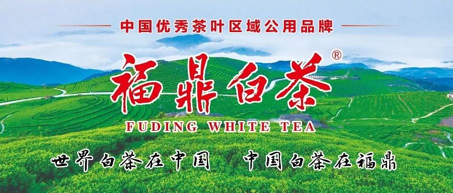 快讯！今年福建高考作文题来了，你会怎么写呢？