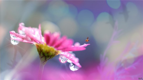 人生感悟的句子简短的,句句精辟现实 一句话说透人生图片