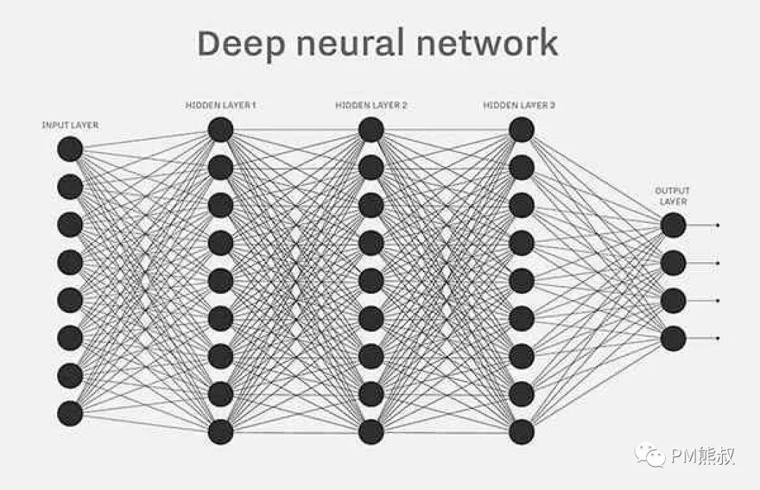 未来生存手册：站在年轻尾巴上我们还能做些什么？