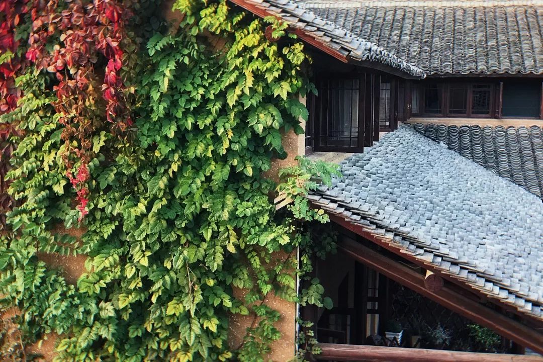 想约民宿，何必远方~江宁这几家民宿是时候“撩”一下了
