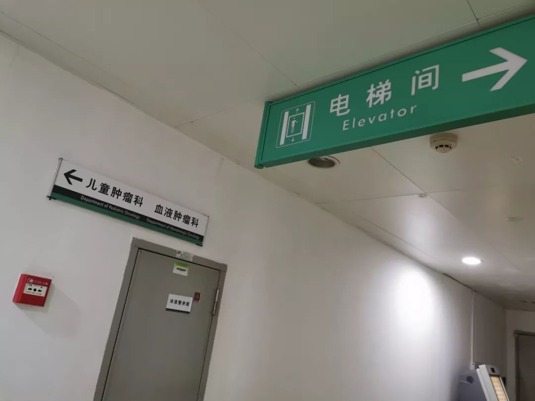 中山大学肿瘤防治中心（中山大学附属肿瘤医院）就医指南
