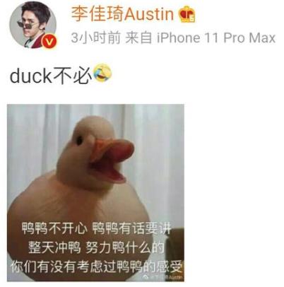 duck不必什么意思什么梗 duck不必表情包怎么回事