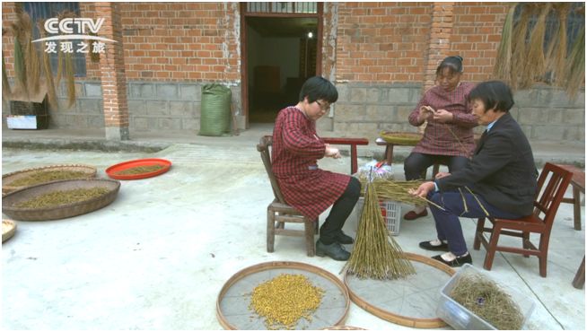 它是“天然青霉素”，每天一杯，慢慢地体验大自然的神奇