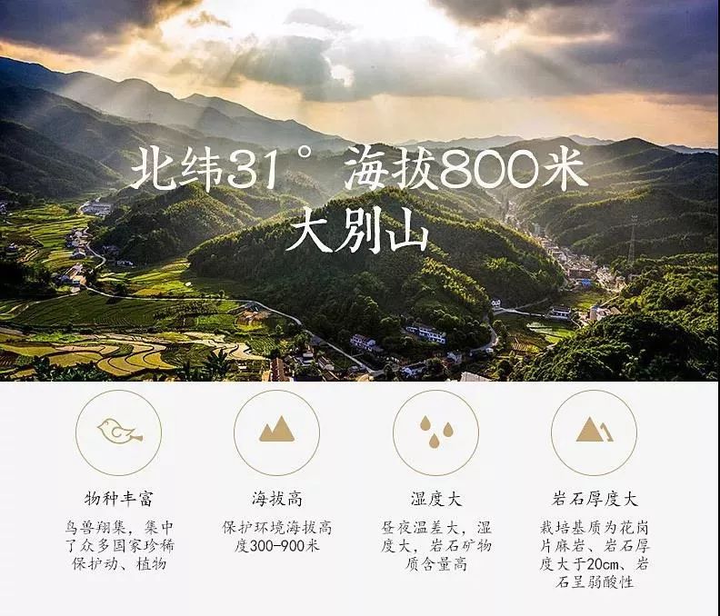 它是“天然青霉素”，每天一杯，慢慢地体验大自然的神奇