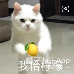 这么甜的素人CP，磕到我上头你才说是演的？编剧们赶紧学学吧