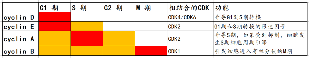 细胞生长周期（关于细胞生长你不知道的科研常识）