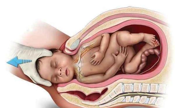 子宫位置图片图详解，从受孕到分娩，女性子宫经历了哪些变化？