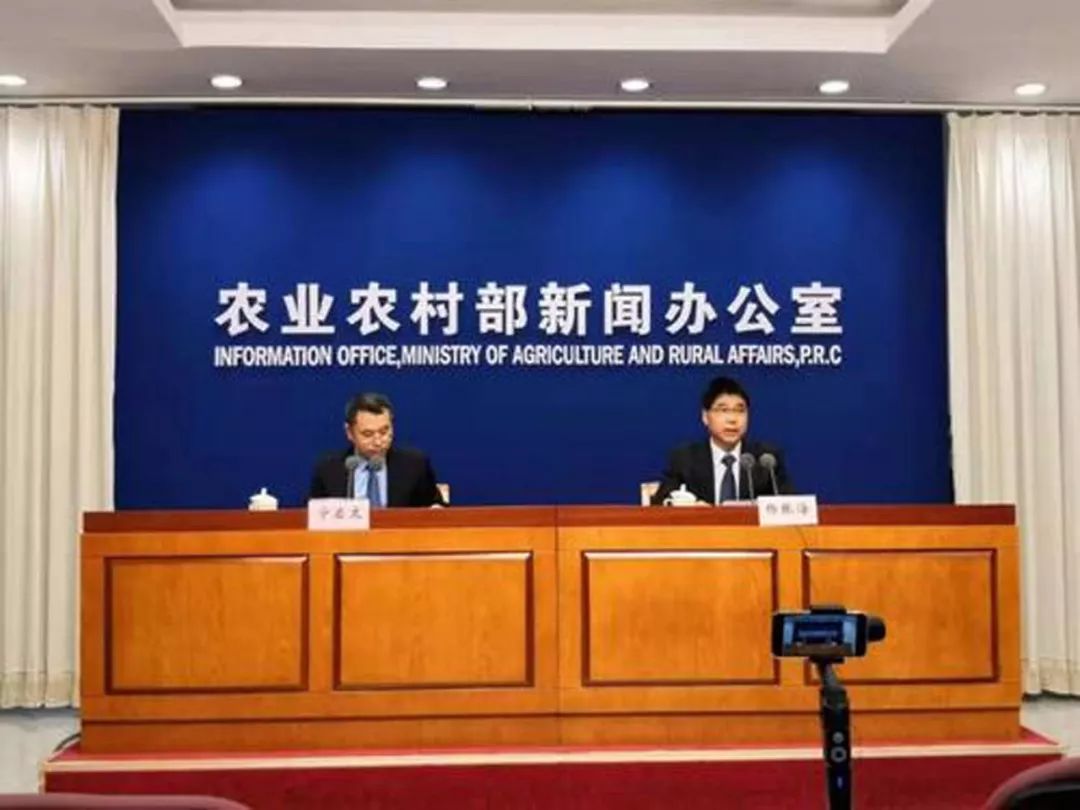 关注！2020养猪补贴新政策：养50头猪国家有补贴